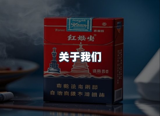 专业团队